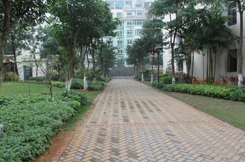 施工完成的人行道磚路面